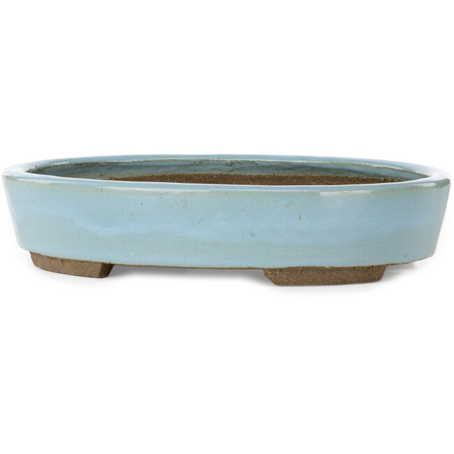 Ovale blauwe bonsaipot van Taizan - 325 x 250 x 65 mm