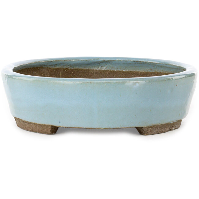 Ovale blauwe bonsaipot van Taizan - 325 x 250 x 65 mm