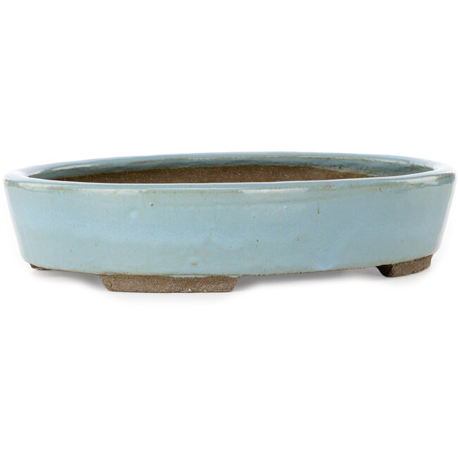 Ovale blauwe bonsaipot van Taizan - 325 x 250 x 65 mm