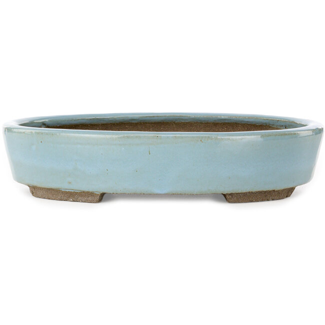 Ovaler blauer Bonsaitopf von Taizan – 325 x 250 x 65 mm