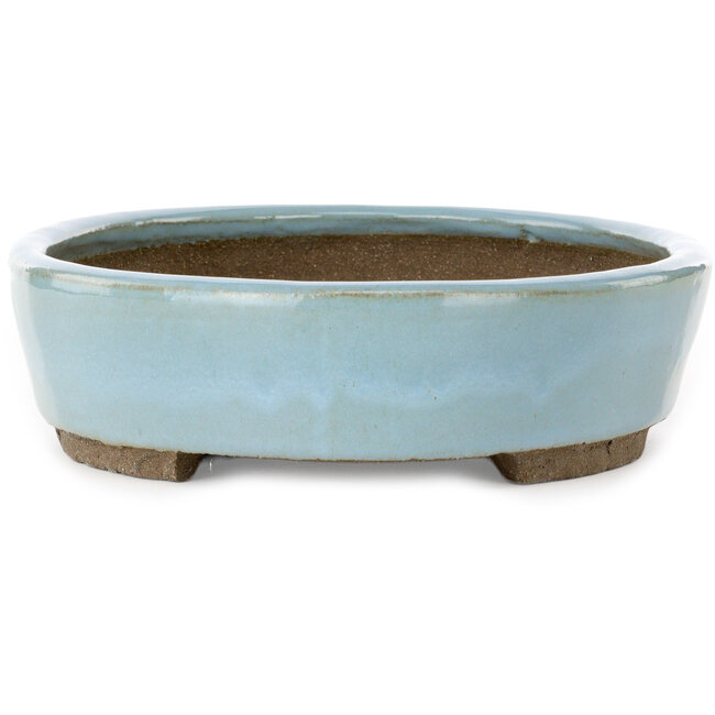 Pot à bonsaï ovale bleu par Taizan - 325 x 250 x 65 mm