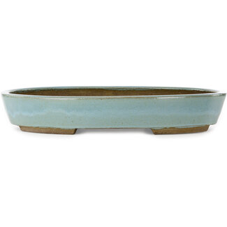 Taizan Pot à bonsaï ovale bleu de 480 mm par Taizan, Tokoname, Japon