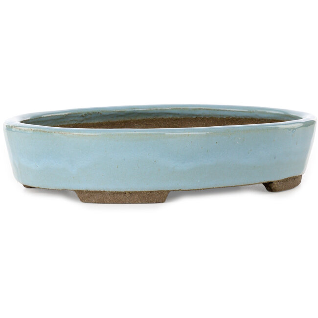 Pot à bonsaï ovale bleu par Taizan - 325 x 250 x 65 mm
