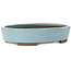 Pot à bonsaï ovale bleu par Taizan - 325 x 250 x 65 mm