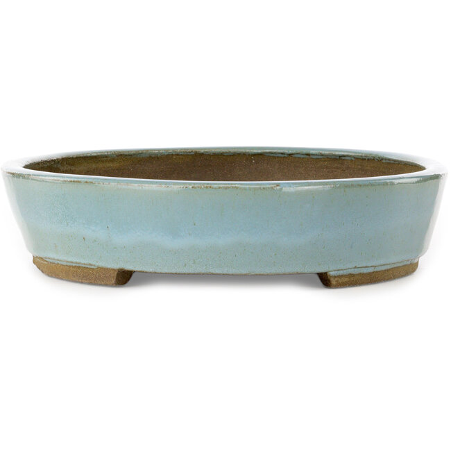 Maceta ovalada para bonsái azul de Taizan - 480 x 350 x 75 mm