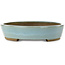 Vaso bonsai ovale blu di Taizan - 480 x 350 x 75 mm