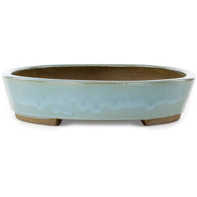 Ovaler blauer Bonsaitopf von Taizan – 480 x 350 x 75 mm