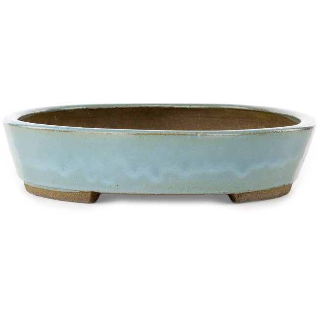 Vaso bonsai ovale blu di Taizan - 480 x 350 x 75 mm