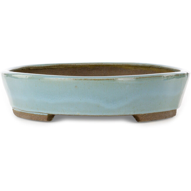 Pot à bonsaï ovale bleu par Taizan - 480 x 350 x 75 mm