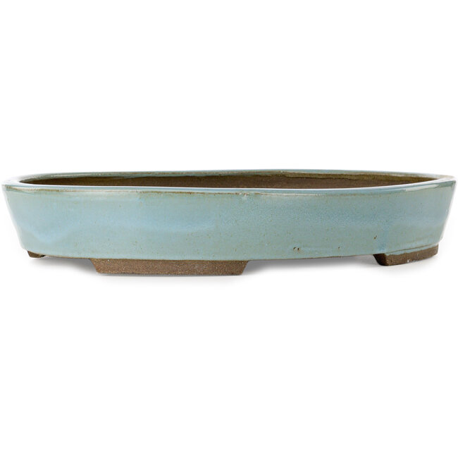Ovale blauwe bonsaipot van Taizan - 480 x 350 x 75 mm