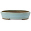 Pot à bonsaï ovale bleu par Taizan - 480 x 350 x 75 mm