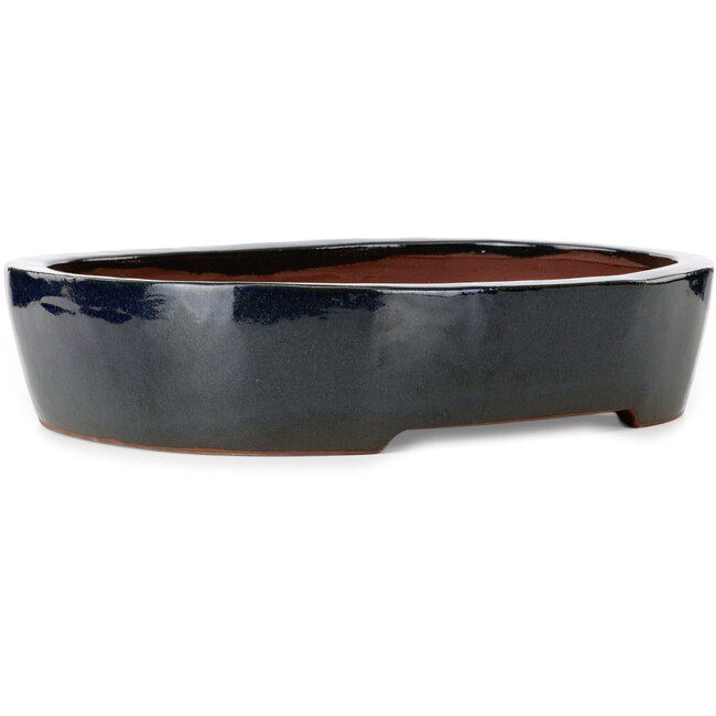 Ovale blauwe bonsaipot van Kakuzan - 455 x 355 x 105 mm