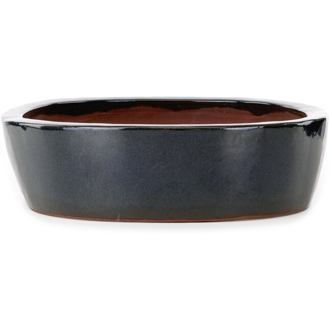 Ovaler blauer Bonsai-Topf von Kakuzan – 455 x 355 x 105 mm