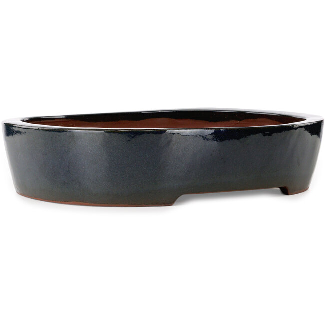 Vaso bonsai ovale blu di Kakuzan - 455 x 355 x 105 mm