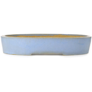 Koyou 555 mm oval blue bonsai pot by Aiba Koyou, Tokoname, Japan