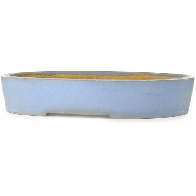 Pot à bonsaï ovale bleu par Aiba Koyou - 555 x 450 x 100 mm