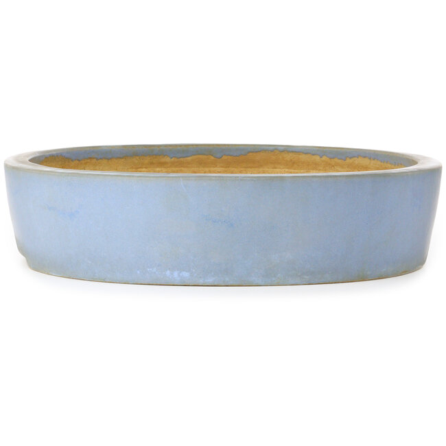 Oval blue bonsai pot by Aiba Koyou - 555 x 450 x 100 mm