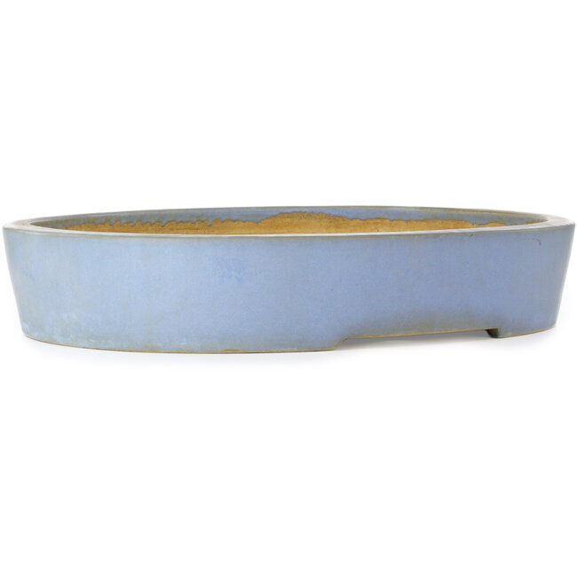 Ovaler blauer Bonsai-Topf von Aiba Koyou – 555 x 450 x 100 mm