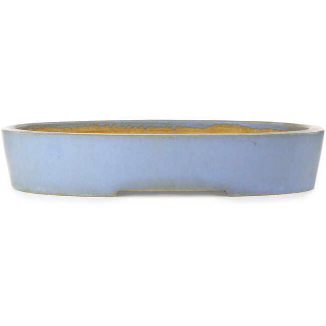 Pot à bonsaï ovale bleu par Aiba Koyou - 555 x 450 x 100 mm