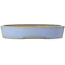 Maceta ovalada azul para bonsái de Aiba Koyou - 555 x 450 x 100 mm
