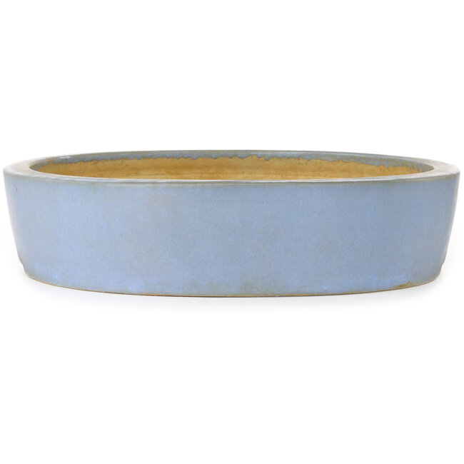 Vaso bonsai ovale blu di Aiba Koyou - 555 x 450 x 100 mm