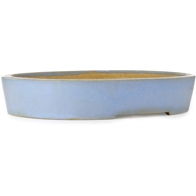 Vaso bonsai ovale blu di Aiba Koyou - 555 x 450 x 100 mm