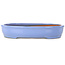 Maceta ovalada azul para bonsái de Itouen - 355 x 275 x 65 mm
