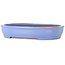 Ovaler blauer Bonsai-Topf von Itouen – 355 x 275 x 65 mm