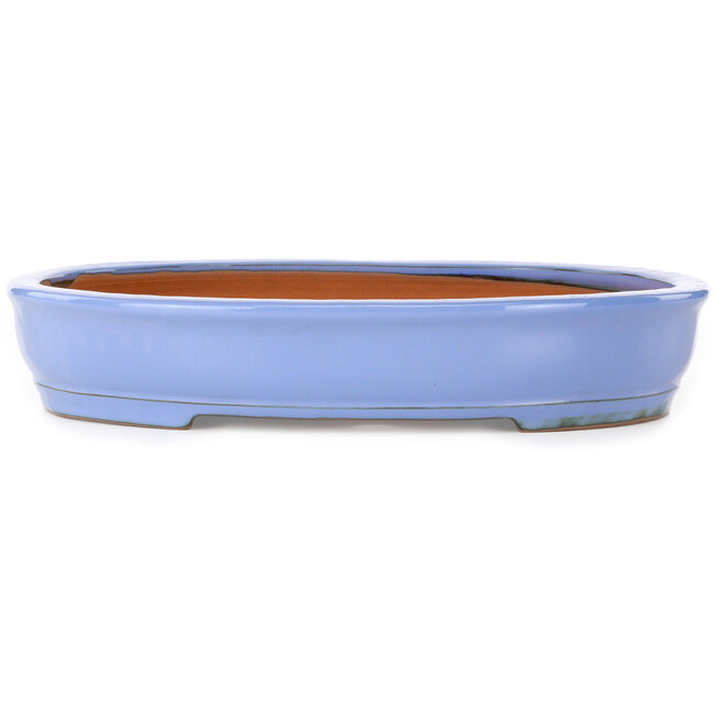 Ovaler blauer Bonsai-Topf von Itouen – 355 x 275 x 65 mm