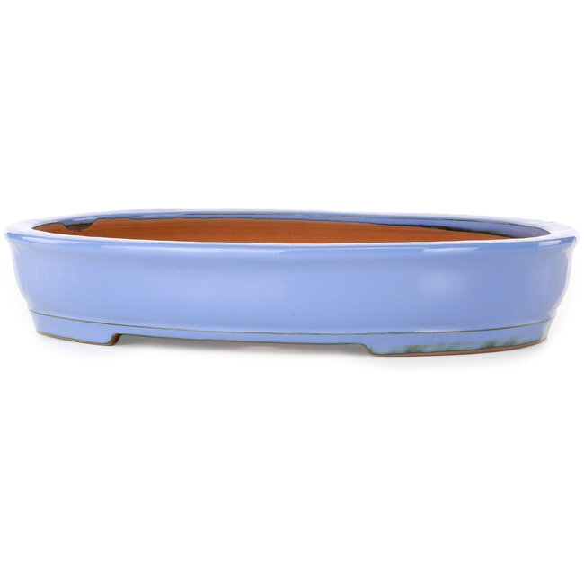 Ovaler blauer Bonsai-Topf von Itouen – 355 x 275 x 65 mm