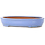 Pot ovale bleu pour bonsaï, par Itouen - 355 x 275 x 65 mm