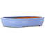 Oval blue bonsai pot by Itouen - 355 x 275 x 65 mm