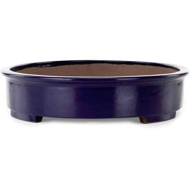 Ovaler blauer Bonsai-Topf von Kakuzan – 560 x 420 x 95 mm