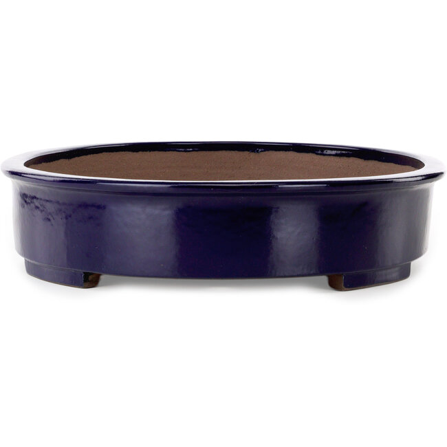 Pot à bonsaï ovale bleu de Kakuzan - 560 x 420 x 95 mm
