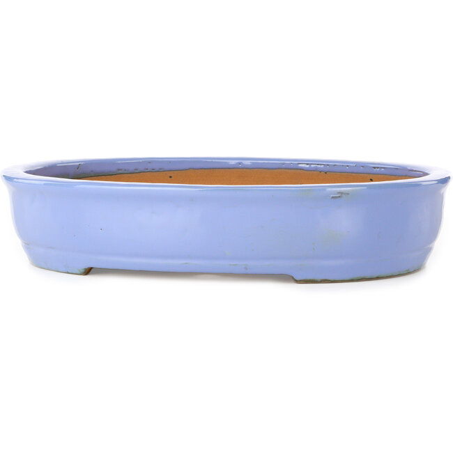 Oval blue bonsai pot by Itouen - 405 x 325 x 80 mm