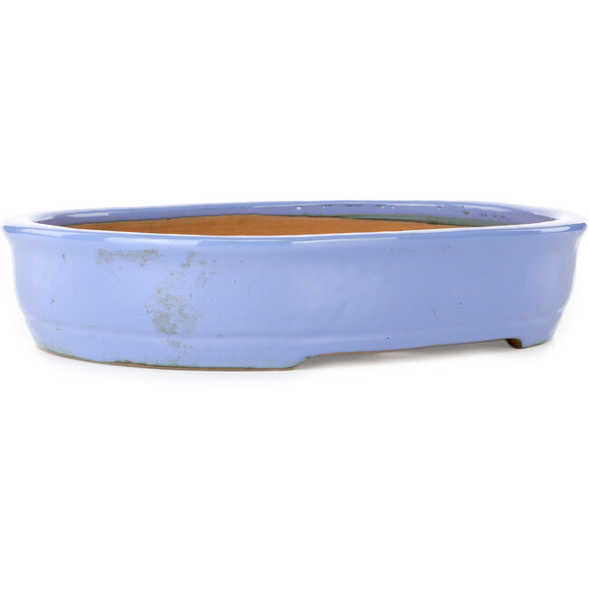 Maceta ovalada azul para bonsái de Itouen - 405 x 325 x 80 mm