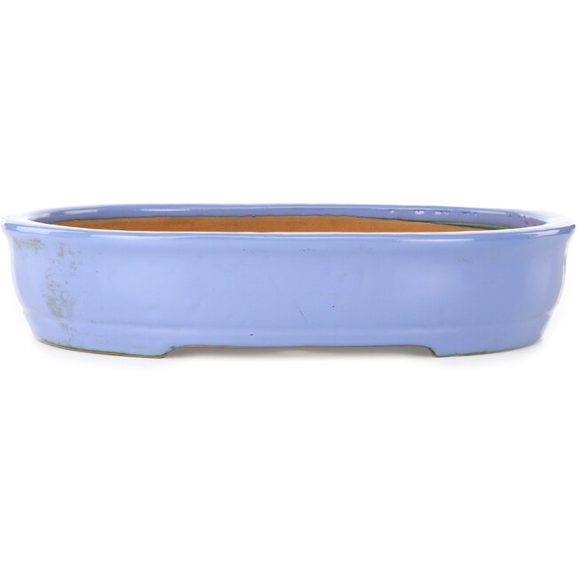 Maceta ovalada azul para bonsái de Itouen - 405 x 325 x 80 mm