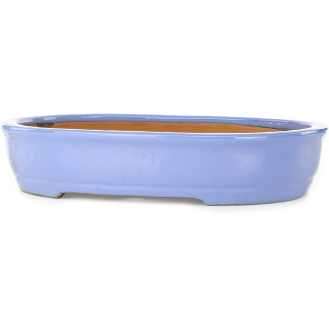 Ovaler blauer Bonsai-Topf von Itouen – 405 x 325 x 80 mm