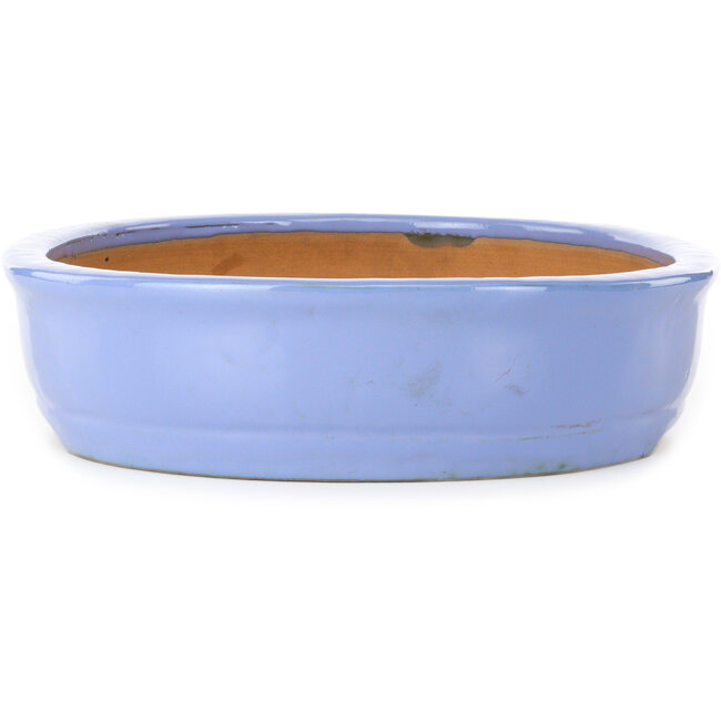 Vaso bonsai ovale blu di Itouen - 405 x 325 x 80 mm