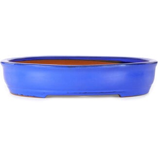 Ito(u)en 410 mm ovaler blauer Bonsai-Topf aus Itouen, Japan