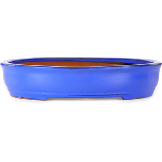 Ito(u)en Pot à bonsaï ovale bleu de 410 mm, de la marque Itouen, Japon