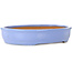 Maceta ovalada azul para bonsái de Itouen - 405 x 325 x 80 mm
