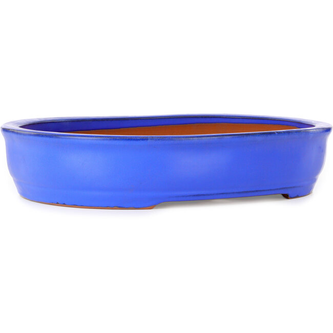 Oval blue bonsai pot by Itouen - 410 x 325 x 85 mm