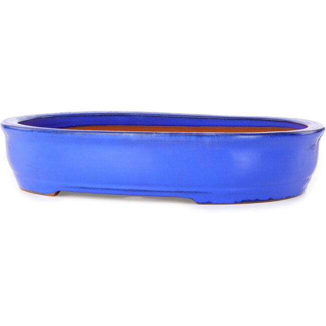 Oval blue bonsai pot by Itouen - 410 x 325 x 85 mm