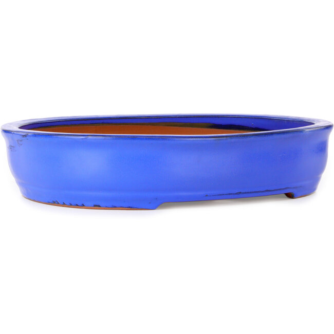 Oval blue bonsai pot by Itouen - 410 x 325 x 85 mm