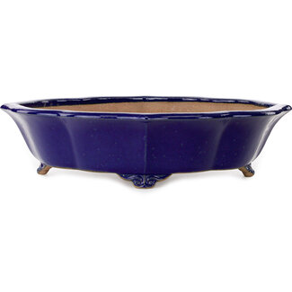 Seizan (Reihou, Kataoka Katsushi, master Seizan kiln) 460 mm mokkoblaue Bonsaischale von Seizan (Reihou, Kataoka Katsushi, Meister Seizan-Ofen), Tokoname, Japan