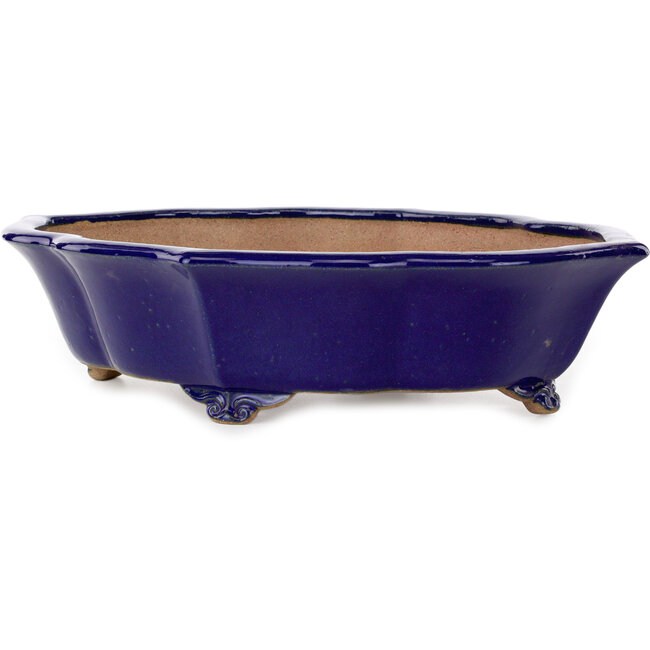 Pot à bonsaï Mokko bleu par Seizan (Reihou, Kataoka Katsushi, maître four Seizan) - 460 x 365 x 115 mm