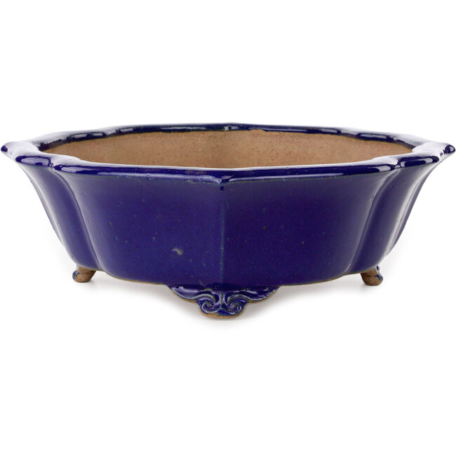 Pot à bonsaï Mokko bleu par Seizan (Reihou, Kataoka Katsushi, maître four Seizan) - 460 x 365 x 115 mm