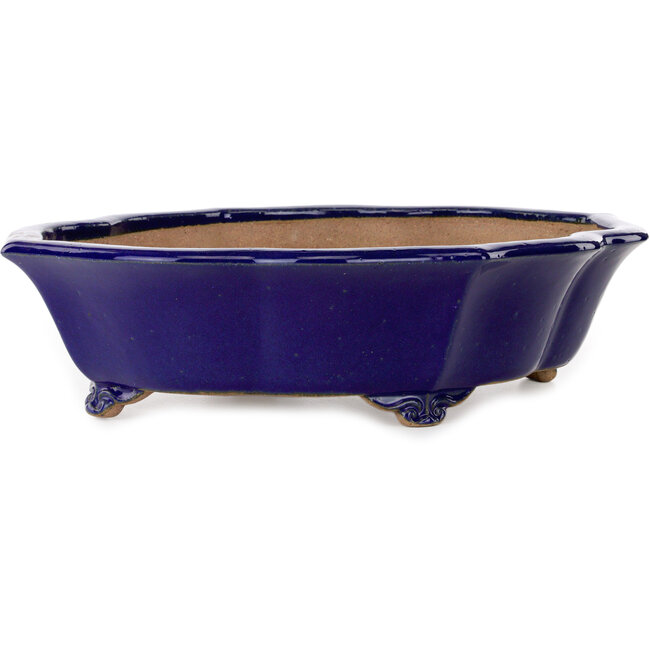 Vaso bonsai Mokko blu di Seizan (Reihou, Kataoka Katsushi, forno del maestro Seizan) - 460 x 365 x 115 mm