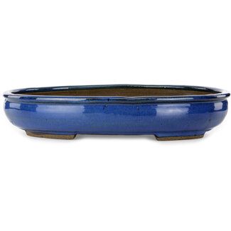 Taizan Maceta para bonsái azul ovalada de 465 mm de Taizan, Tokoname, Japón